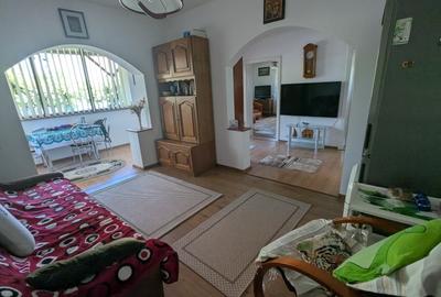 Casă individuală cu 3 camere cu Teren 250 Mp în Gojdu - 14