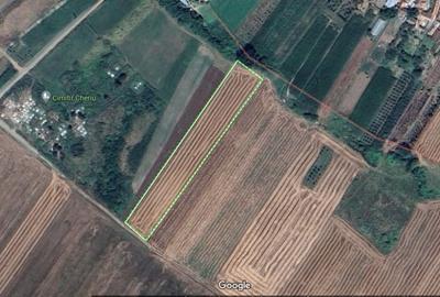 Teren agricol de 3000 mp, în Cheriu - 1