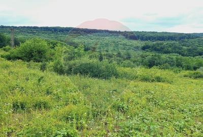 Teren agricol extravilan de 5755 mp, în Hidișelu de Sus - 4