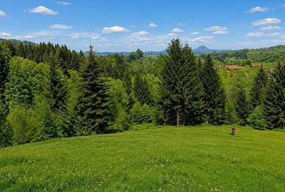 Casă cu 4 camere cu Teren 1000 Mp în Bran