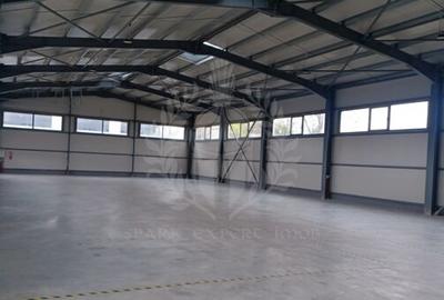 Spațiu industrial, de 600 mp, în Rudului