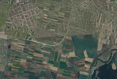 Teren agricol extravilan de 11900 mp, în Giroc - 1