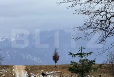 Teren de 80000 mp, în Glăjărie