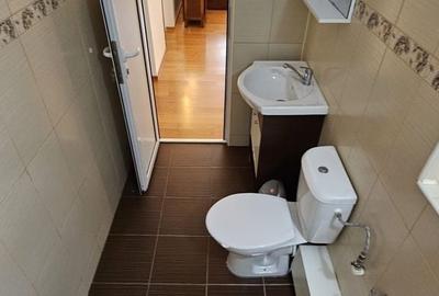 Apartament cu 3 camere decomandat în Podu Roș - 10