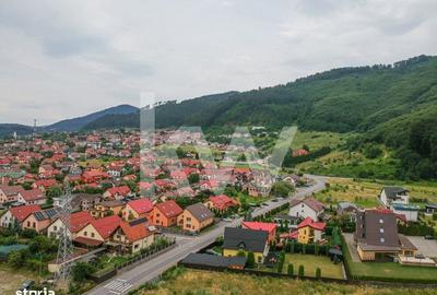 Spațiu comercial, în Bunloc - 7
