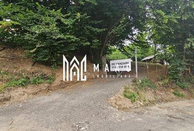 Spațiu comercial, în Cisnădioara