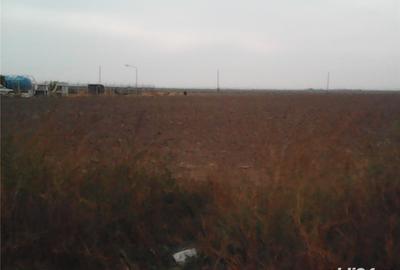 Teren de 10000 mp, în Central - 5