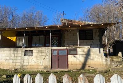 Casă în Bertea - 6