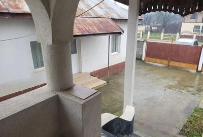 Casă cu Teren 2536 Mp în Peșteana-Jiu - 6
