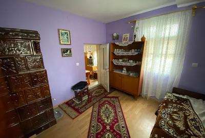 Teren de 6000 mp, în Provița de Sus - 3