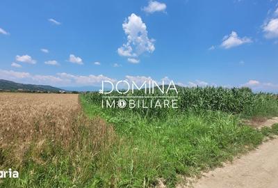 Teren de 3504 mp, în Bălești