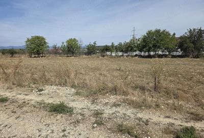 Teren de 330 mp, în Central