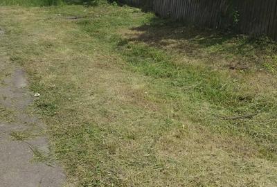 Casă cu Teren 27000 Mp în Leleasca