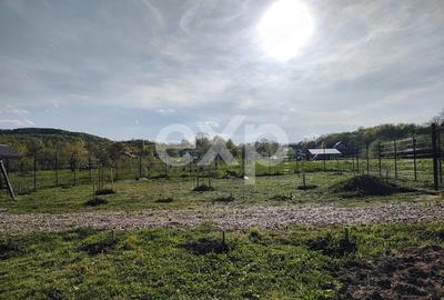 Teren Construcții intravilan de 500 mp, în Băiculești - 4