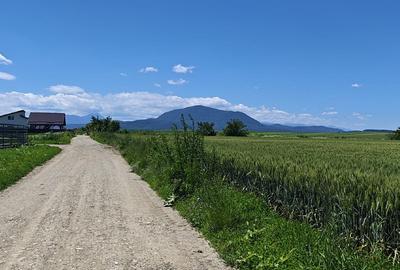 Teren Construcții intravilan de 500 mp, în Hălchiu - 4