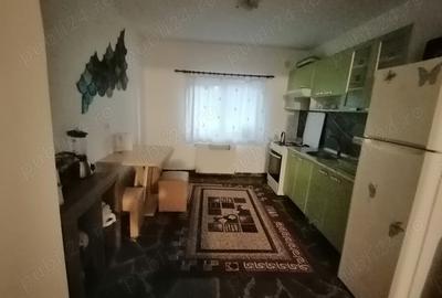 Casă cu Teren 1000 Mp în Bucium