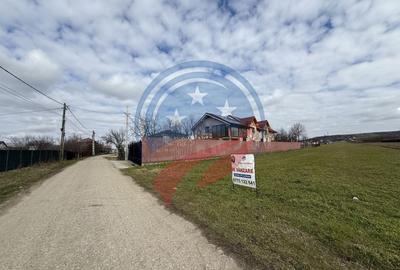 Teren Construcții intravilan de 1500 mp, în Dudovicești - 1