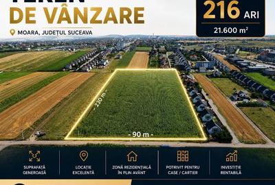 Teren construcție, în Șcheia