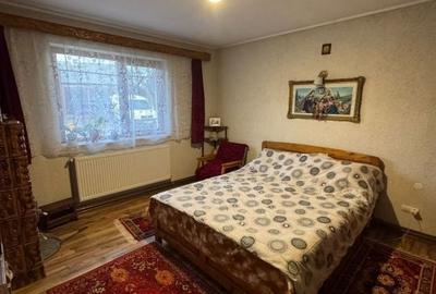Casă cu 3 camere decomandat cu Teren 800 Mp în Satu Nou de Sus - 7