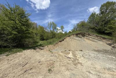 Teren Construcții intravilan de 2440 mp, în Valea Târsei - 18