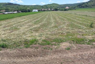 Teren Construcții intravilan de 3024 mp, în Totoi - 4