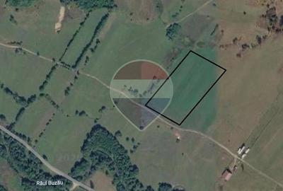 Teren de 4306 mp, în Vama Buzăului