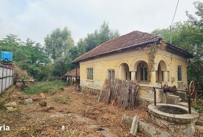 Casă cu 2 camere în Curtișoara