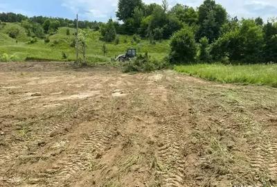 Teren de 1000 mp, în Goranu - 1