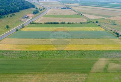 Teren agricol intravilan de 8600 mp, în Periferie - 7