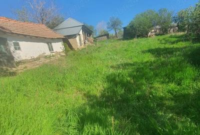 Casă cu 2 camere cu Teren 1402 Mp în Turia