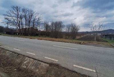 Spațiu comercial, în Copăcelu - 5