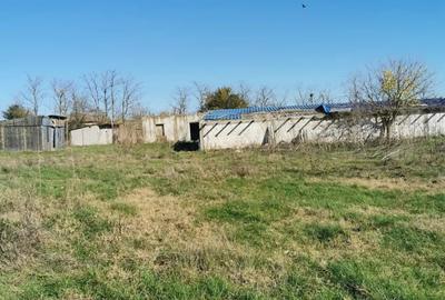 Casă cu 3 camere cu Teren 7000 Mp în Țepeș Vodă - 1