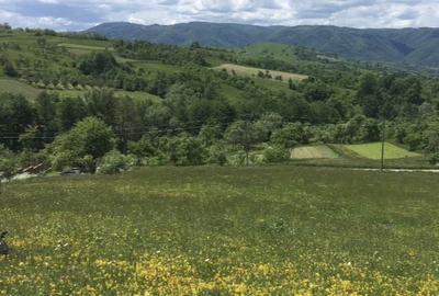 Teren de 879 mp, în Armeniș - 4