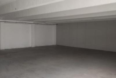 Spațiu industrial, de 250 mp, în Exterior Est