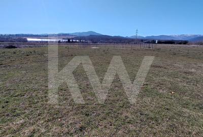 Teren Construcții intravilan de 712 mp, în Periferie - 9