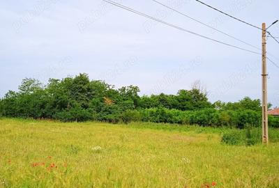 Teren de 1000 mp, în Valea Stânii - 3
