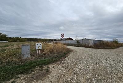 Teren Construcții intravilan de 647 mp, în Snagov - 5