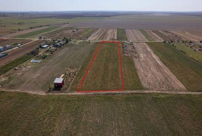 Teren Construcții intravilan de 6525 mp, în Adunații-Copăceni - 6