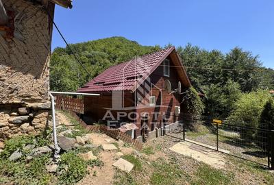 Casă individuală cu 5 camere cu Canalizare în Dumbrava de Jos - 40