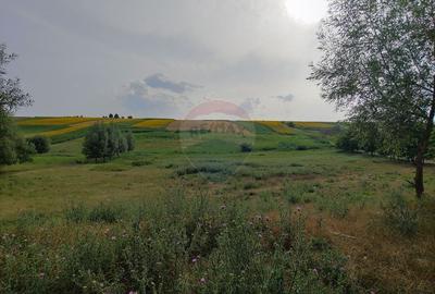Teren agricol intravilan de 260000 mp, în Stroiești - 27
