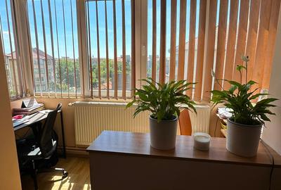 Apartament cu 3 camere decomandat în Timocului-Șaguna - 3