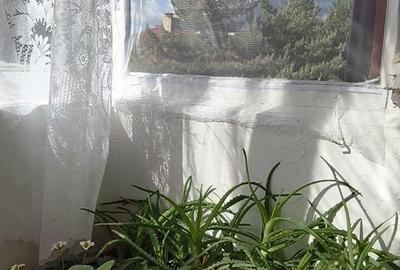 Apartament cu 2 camere în Cezar Petrescu - 7