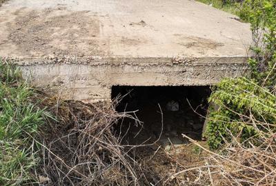 Teren de 1500 mp, în Odobești - 1