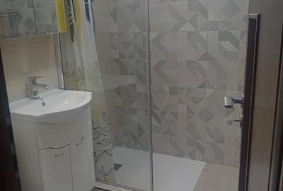 Apartament cu 2 camere semidecomandat, mobilat în Trocadero - 6