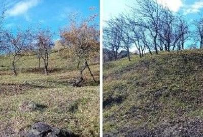 Teren de 2894 mp, în Vistieru - 10