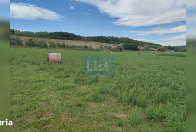 Teren de 22400 mp, în Iclod