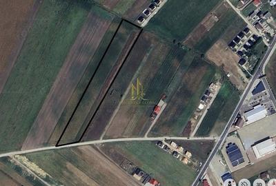 Teren de 12800 mp, în Sfântu Ilie - 1