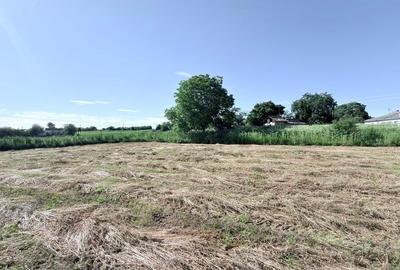 Casă individuală cu 2 camere cu Teren 3600 Mp în Central - 4