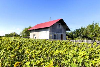 Casă cu 1 camere cu Teren 2700 Mp în Prisăcani