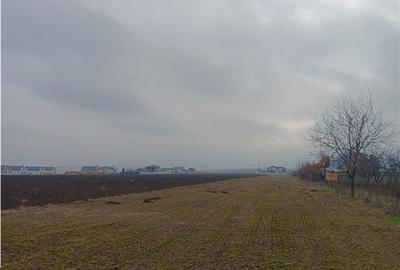 Teren Construcții intravilan de 8503 mp, în Aroneanu - 5